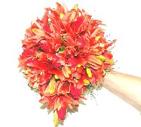 Bouquets de noiva