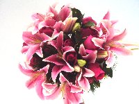Bouquets de noiva