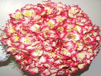 Bouquets de noiva