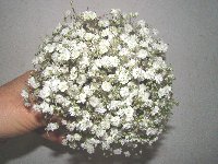 Bouquets de noiva
