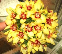 Bouquets de noiva