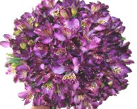 Bouquets de noiva