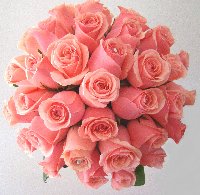 Bouquets de noiva