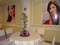 15 anos - Larissa - Cerimonial Lago de Garda