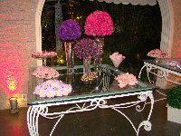 15 anos - Larissa - Cerimonial Lago de Garda