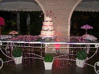 15 anos - Larissa - Cerimonial Lago de Garda