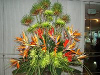 Evento - Hotel Ilha do Boi