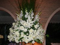 Casamento - Georgia e Leandro - Cerimonial Lago de Garda