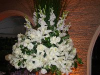 Casamento - Georgia e Leandro - Cerimonial Lago de Garda