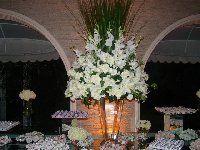 Casamento - Georgia e Leandro - Cerimonial Lago de Garda