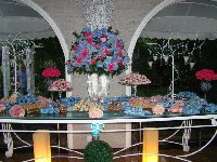 Casamento - Ot�via e Juliano - Cerimonial Lago de Garda