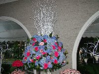 Casamento - Ot�via e Juliano - Cerimonial Lago de Garda