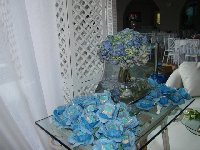 Casamento - Ot�via e Juliano - Cerimonial Lago de Garda