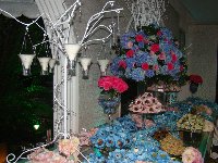 Casamento - Ot�via e Juliano - Cerimonial Lago de Garda
