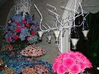 Casamento - Ot�via e Juliano - Cerimonial Lago de Garda