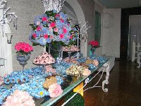 Casamento - Ot�via e Juliano - Cerimonial Lago de Garda