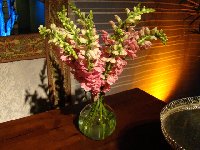Casamento -  Ludmila e Villen - Cerimonial Oasis