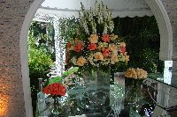 Casamento - Caroline e Vagner - Cerimonial Lago de Garda