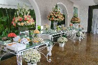 Casamento - Caroline e Vagner - Cerimonial Lago de Garda