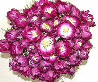 Bouquets de noiva