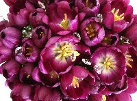 Bouquets de noiva