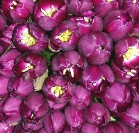 Bouquets de noiva