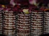Casamento - Virginia e Rodrigo - Cerimonial Lago de Garda