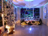 Casamento - Virginia e Rodrigo - Cerimonial Lago de Garda