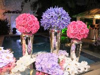 Casamento - Virginia e Rodrigo - Cerimonial Lago de Garda