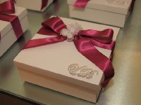 Casamento - Virginia e Rodrigo - Cerimonial Lago de Garda