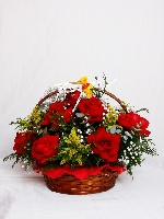 Cesta 02